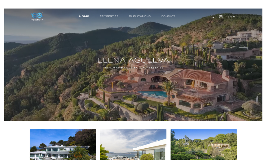 Elena Agueeva project